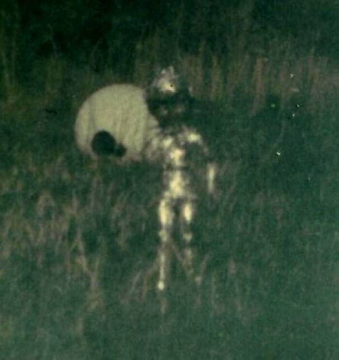 Blurry figure in a dark outdoor setting, showing strange earth phenomenon that looks borderline unbelievable at night.