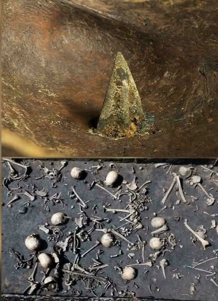 Strange Earth image showing a mysterious ancient stone structure and scattered small animal bones on a dark surface.