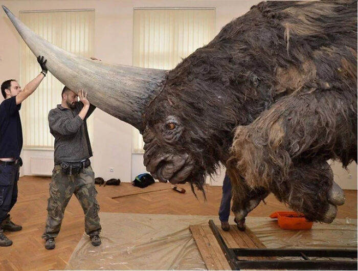 Two men lifting a giant horn on a strange earth creature model with a large furry body indoors.