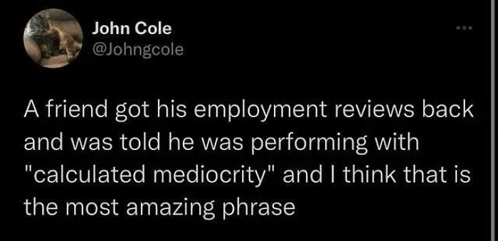 I've Lived My Whole Life On The Principle Of Calculated Mediocrity, It's The One Way To Resist The Unnatural Pressures Of Capitalism