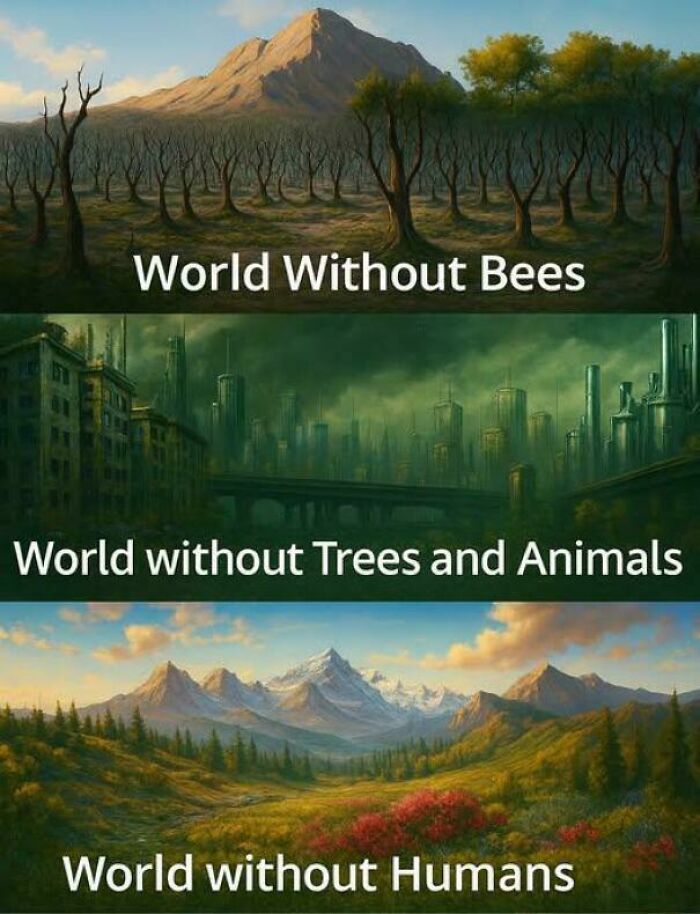 I Mean It's Not Wrong... We Need Nature, Nature Does Not Need Us