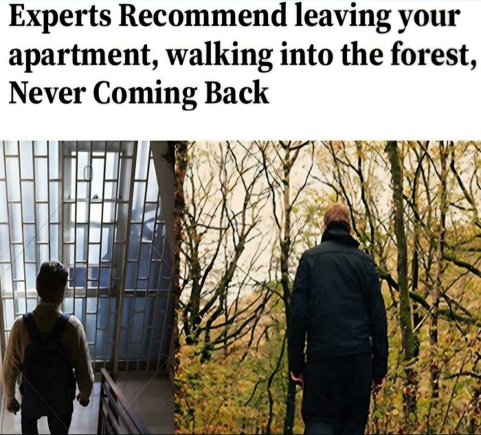 Seems Like The Experts Have Finally Had Enough Xd