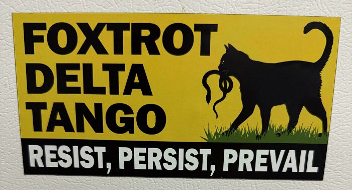 Humorous and unhinged bumper sticker with a black cat holding a snake and text saying resist, persist, prevail.