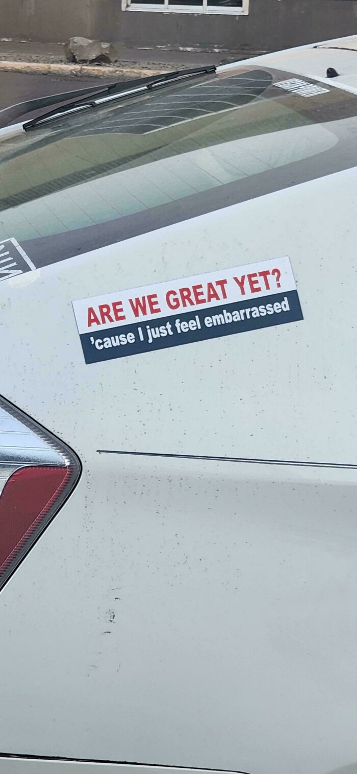 Hilarious and unhinged bumper sticker on a white car reading Are we great yet cause I just feel embarrassed.