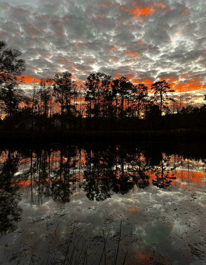Sunset At A Local Park