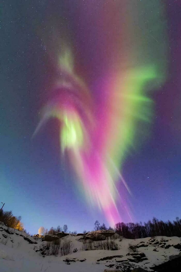 'Auroral Hummingbird Over Norway' (Photo: Mickael Coulon)