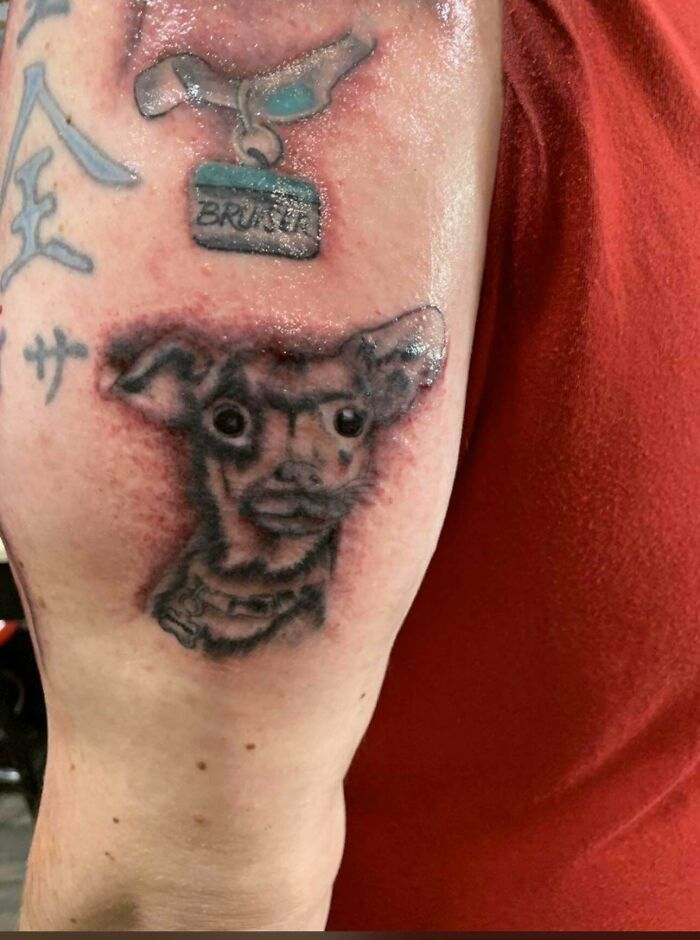 Tattoo of a poorly drawn dog with a brush tattoo above it, showcasing one of the truly awful tattoos that are funny and tragic.