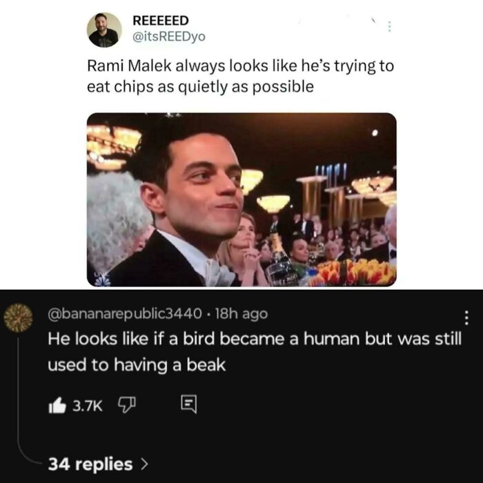 A tweet and YouTube comment making savage verbal knockouts about actor Rami Malek's appearance.
