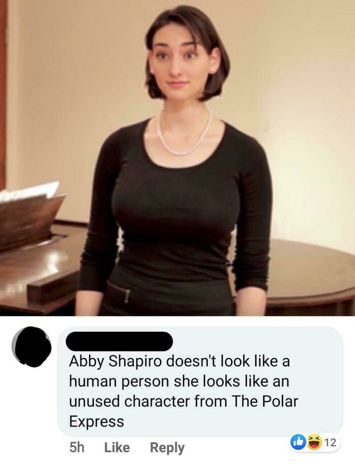 A screenshot showing a savage verbal knockout Facebook comment about Abby Shapiro's appearance.