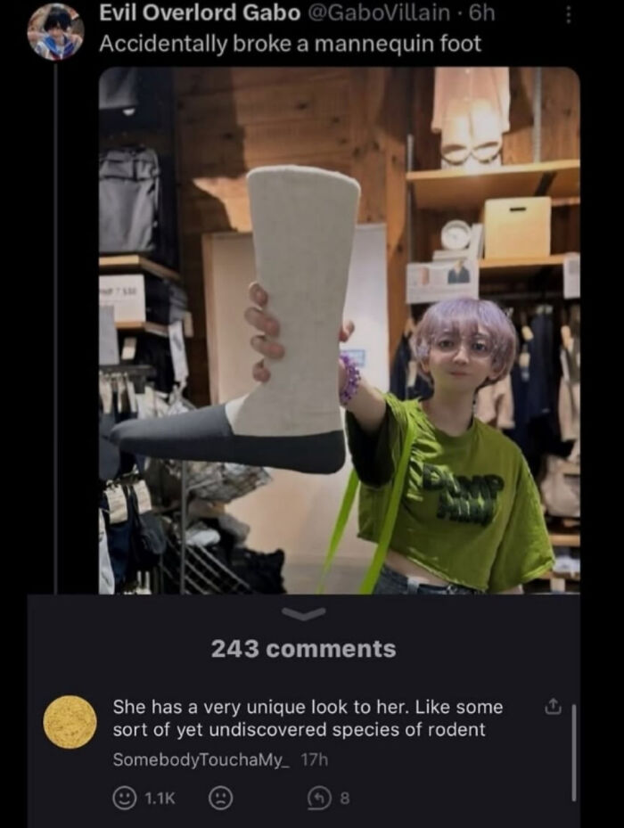 A verbal knockout is delivered in a comment about a person's unique appearance, comparing them to a rodent.