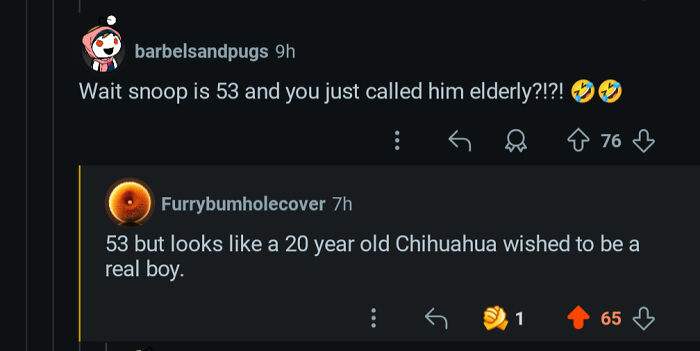 A verbal knockout Reddit comment comparing a 53-year-old to a 20-year-old Chihuahua that wished to be a real boy.