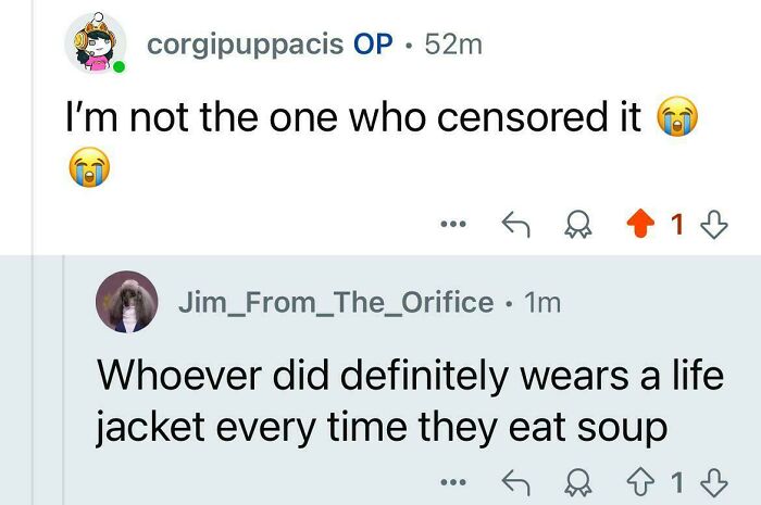 A Reddit comment section with a user saying, Whoever did definitely wears a life jacket every time they eat soup, a savage verbal knockout.