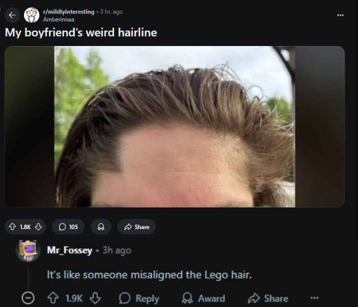 A Reddit post about a boyfriend's weird hairline, with a comment comparing it to misaligned Lego hair, a verbal knockout.