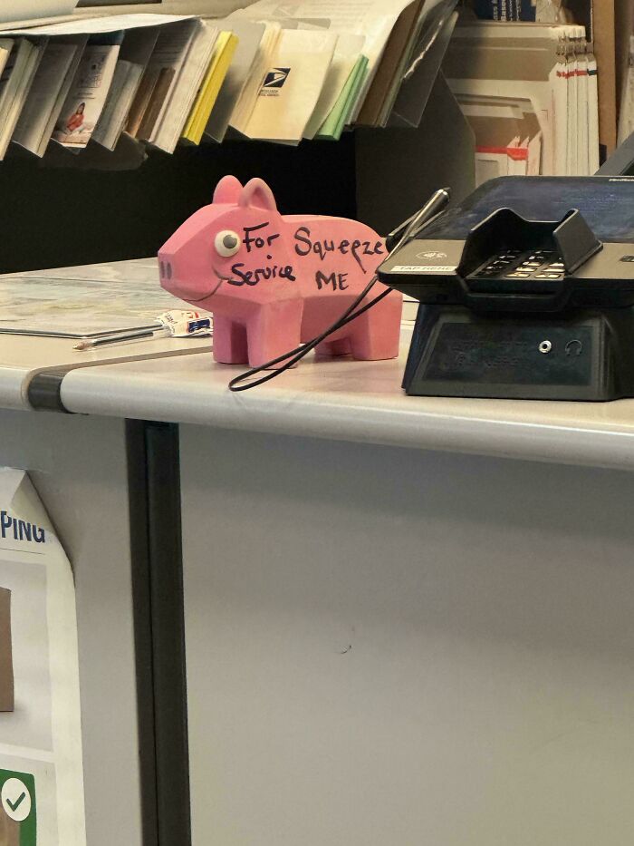 A pink pig figure labeled For Squeeze Service Me, creating a hilariously confusing message from poor sign design.