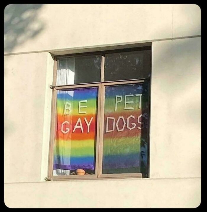 A hilariously confusing message on a window with rainbow flags reading Be Gay Pet Dogs, an example of poor sign design.