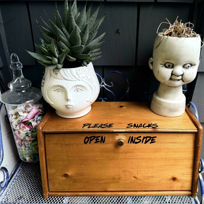 Poor sign design on a wooden box reading Please Snacks Open Inside, surrounded by quirky planters and candy jar.