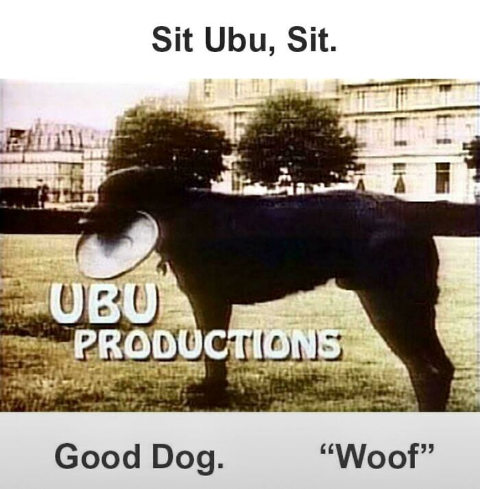 Nostalgic UBU Productions image with a dog wearing a cone collar in a vintage outdoor setting.