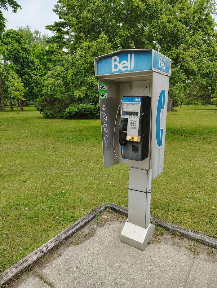 Vintage Bell payphone booth standing on a sidewalk surrounded by green grass and trees, representing nostalgic pics.
