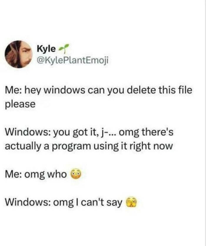 Relatable meme showing a joke about Windows refusing to say which program is using a file.
