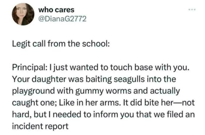 A hilarious text meme detailing a funny school incident report about catching a seagull.