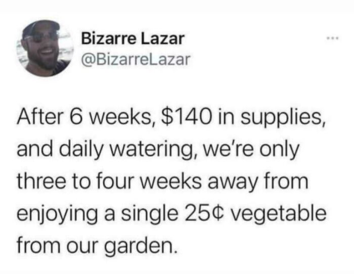 A funny text meme about gardening costs and growing vegetables.