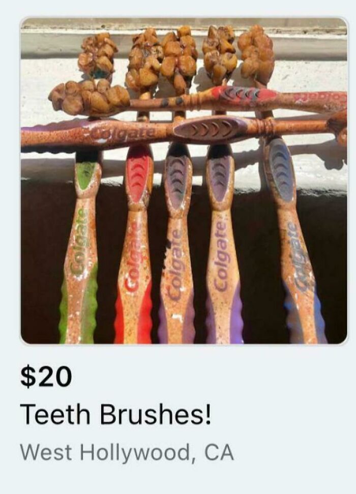 A set of very dirty, used Colgate toothbrushes for sale for $20. A perfect example of a #DiWHY fail.
