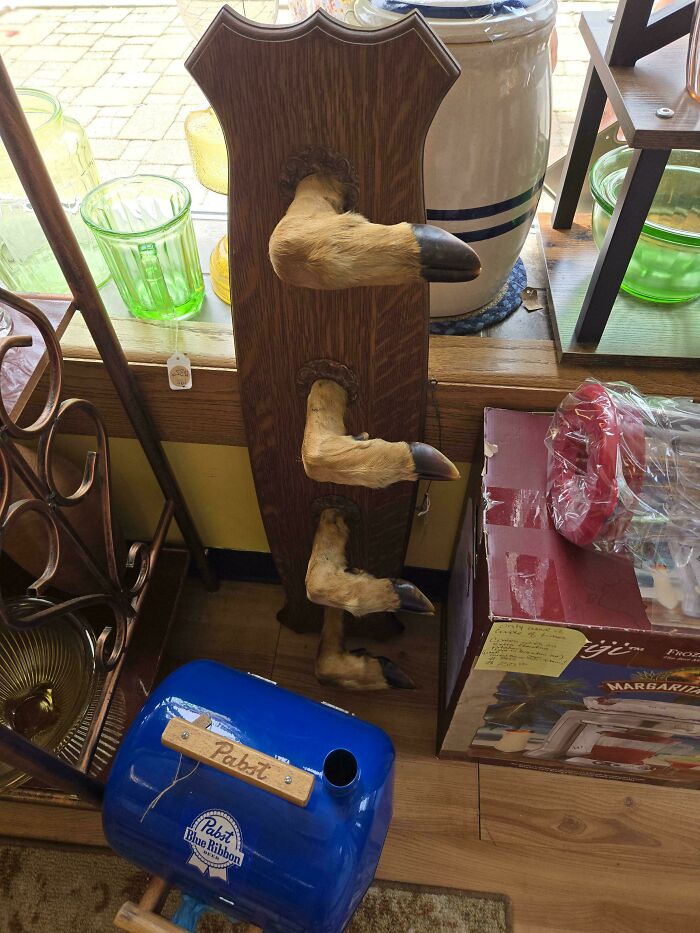 DiWHY deer hoof gun rack next to a blue Pabst cooler, displaying an odd homemade item.