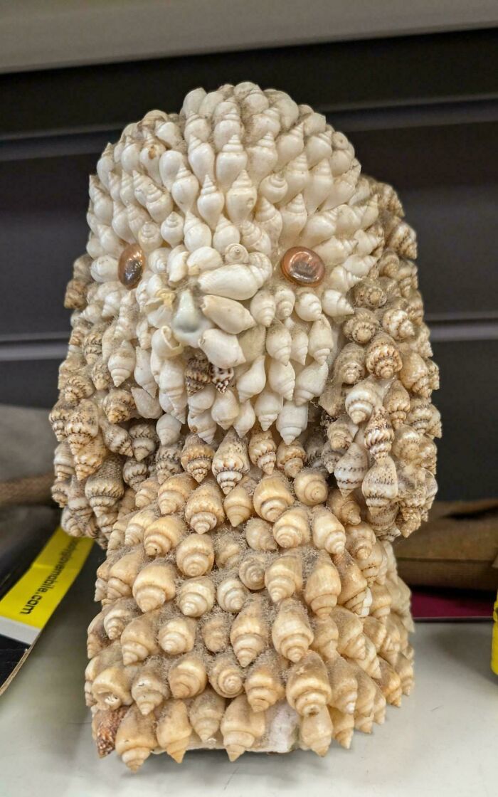 A unique, DiWHY sculpture made from numerous seashells forming an abstract face with copper coin eyes.