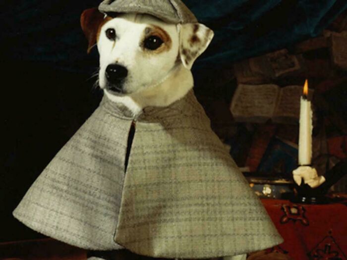A '90s kid nostalgic meme featuring a dog dressed as Sherlock Holmes, evoking childhood memories.