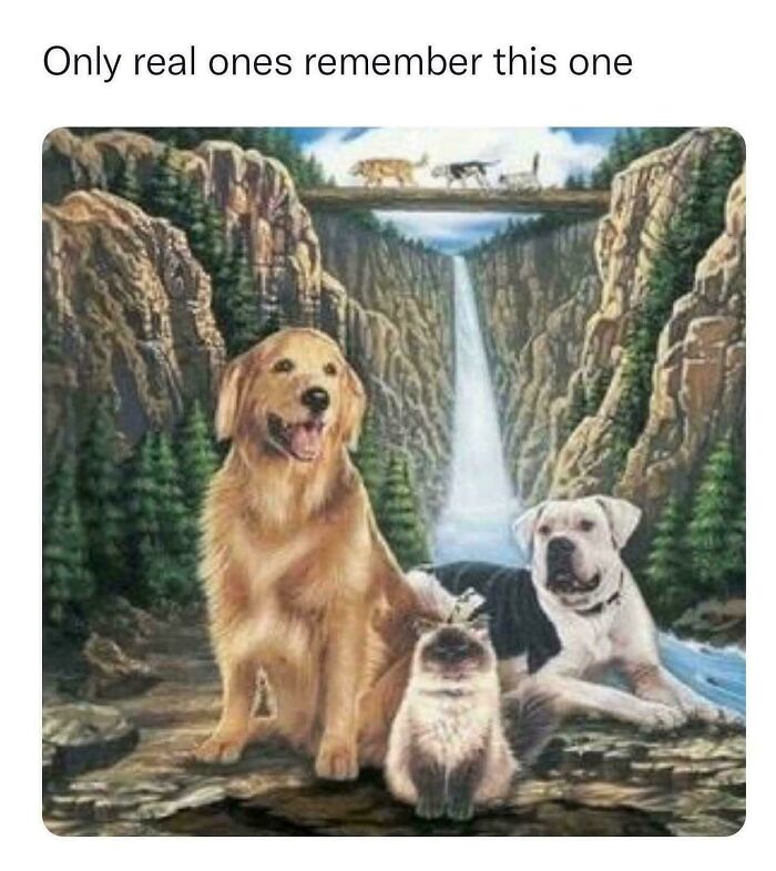 A painting of a golden retriever, a white dog, and a cat by a waterfall, a nostalgic meme for 90s kids.