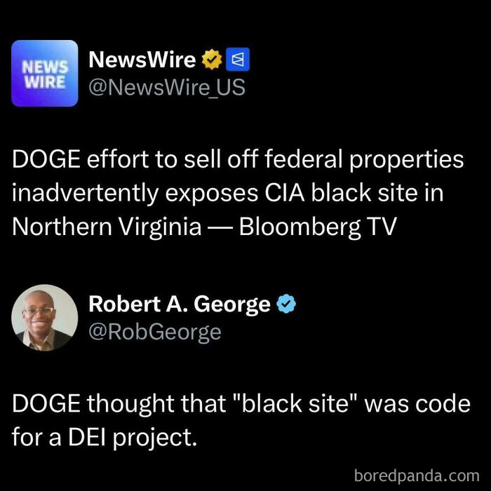 Ironic responses to nonsensical posts: A humorous tweet about DOGE mistaking a CIA black site for a DEI project.