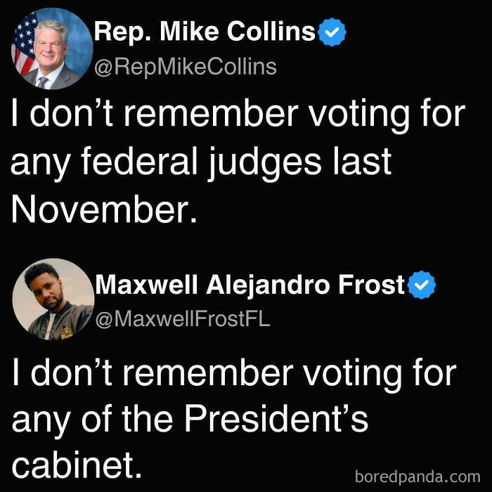 Two ironic responses on Twitter about voting for federal judges and presidential cabinet members, highlighting nonsensical posts.