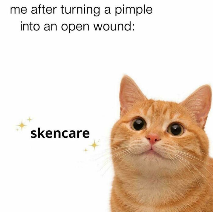 Orange cat with wide eyes next to text about skincare after turning a pimple into an open wound, relatable meme.