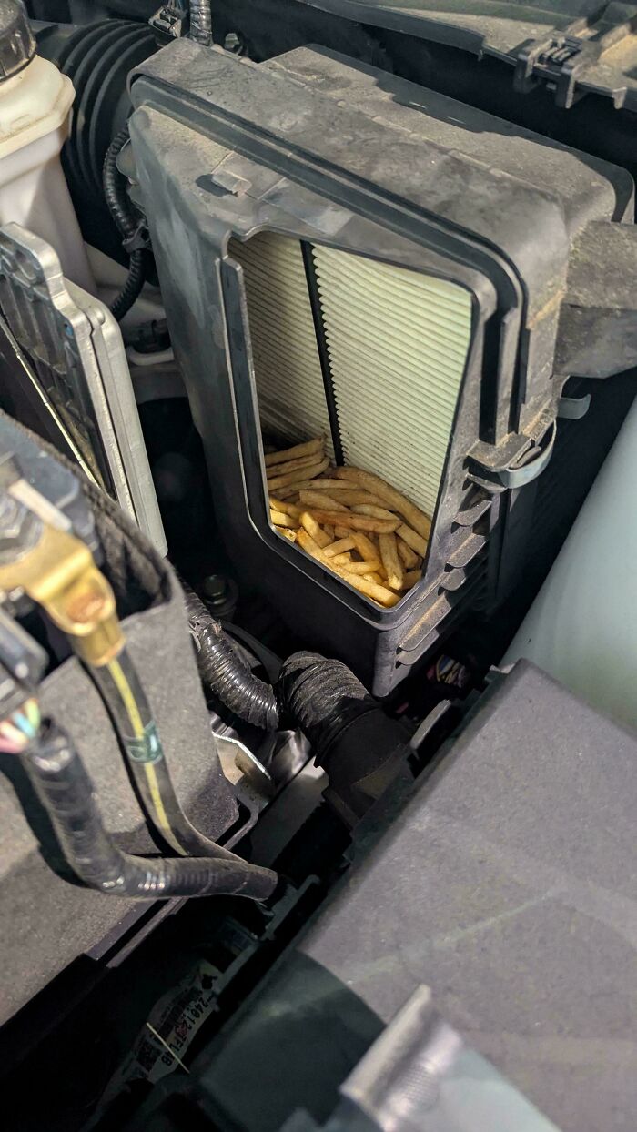 Car mechanic discovers french fries inside engine air filter housing during inspection to prove unusual issue.