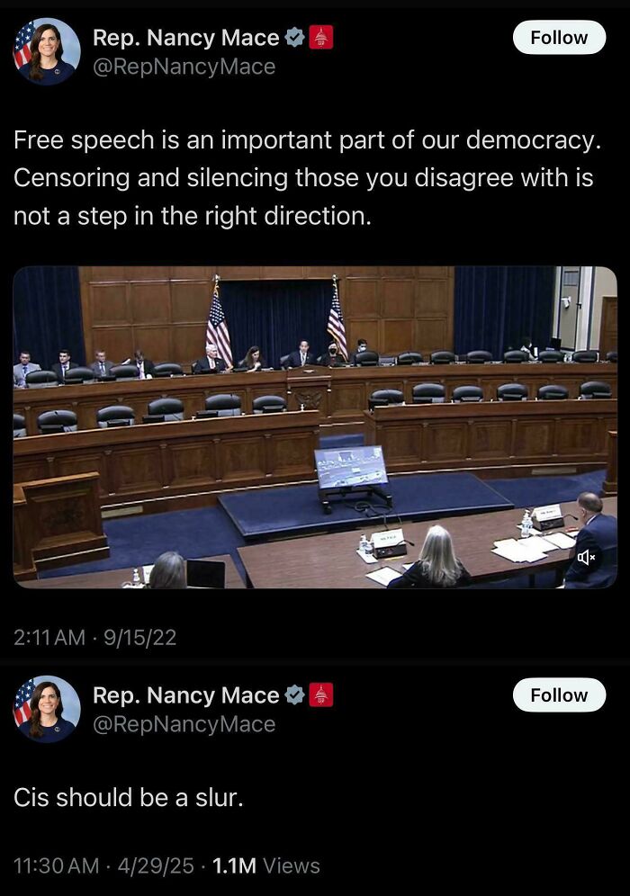 A screenshot of Nancy Mace getting caught in her contradictions online regarding free speech versus using slurs.