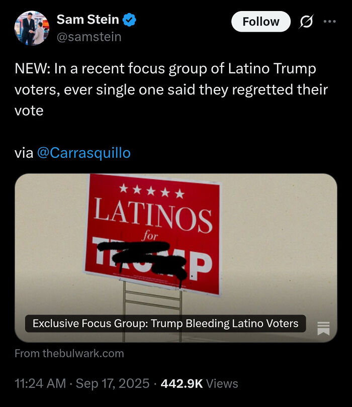 Tweet from Sam Stein about Latino Trump voters regretting their support, with an image of a defaced Latinos for Trump sign.