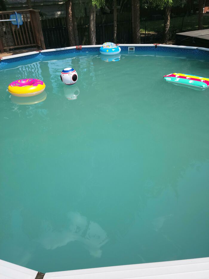 “Literally Saved My Life”: 57 Odors You Should Never Ever Dismiss