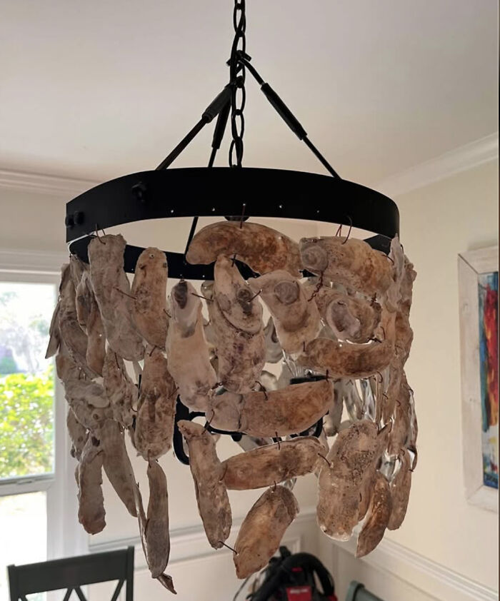Oyster Shell Chandelier