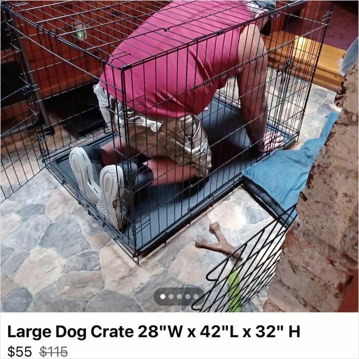 Man crawling inside a large dog crate in a humorous and weirdly hilarious image to improve your feed and mood.