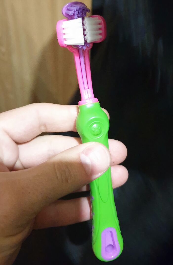 Hand holding a colorful cleaning tool designed to solve an annoying little problem with precise bristles.