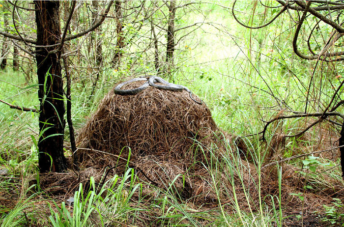 “Literally Saved My Life”: 57 Odors You Should Never Ever Dismiss