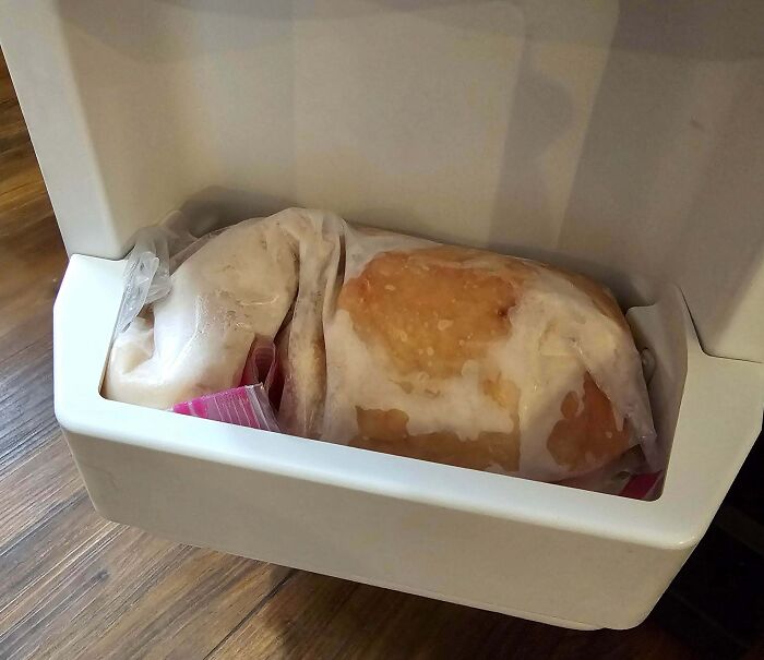 Chicken Stuck In Freezer Door