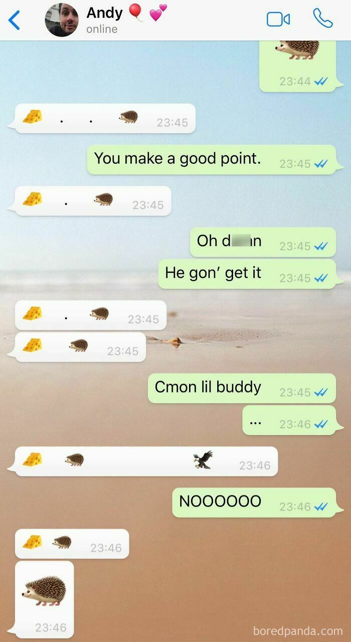 Funny text message moment showing a conversation with cheese, hedgehog, and eagle emojis on a beach background.