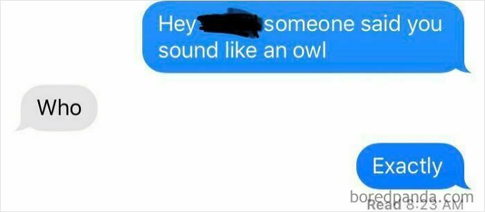 Funny text message conversation where one person says someone sounds like an owl, leading to a clever reply moment.