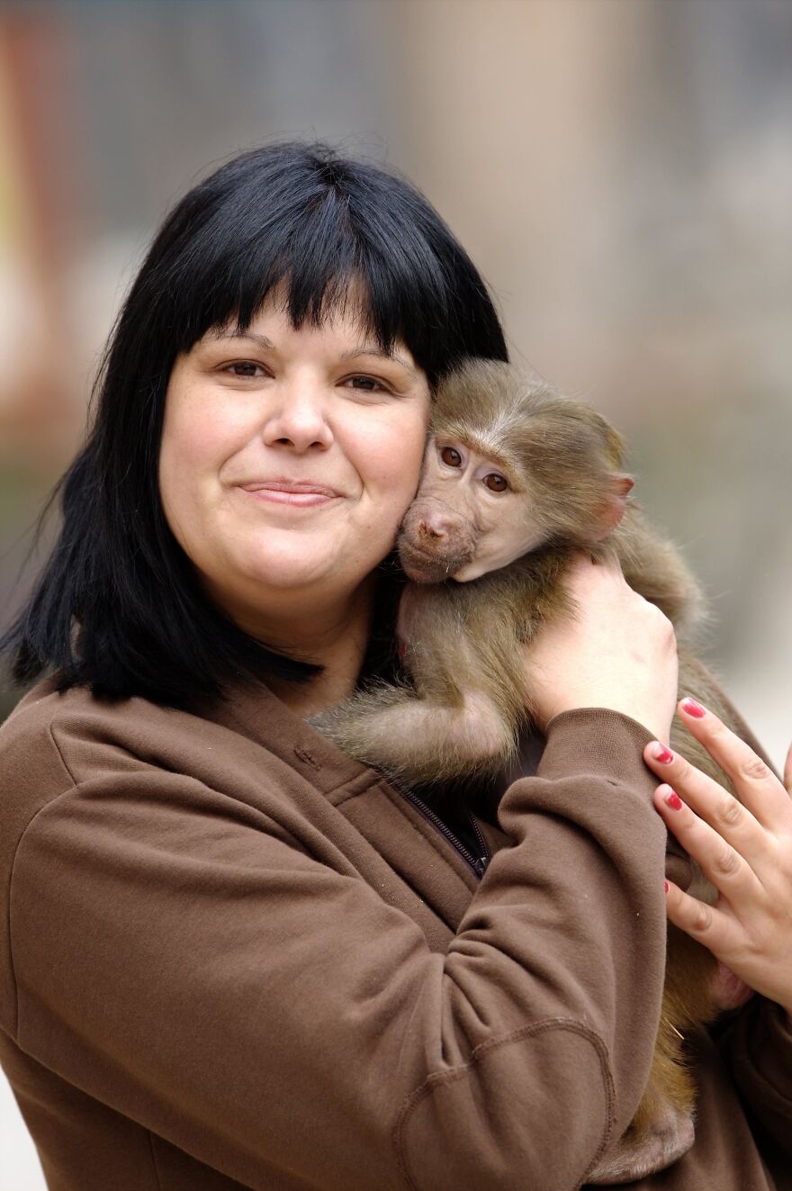The World Melts Over Punch, The Rescued Baby Monkey From Japan. But In Macedonia, We&rsquo;ve Been Living This Story For Years.