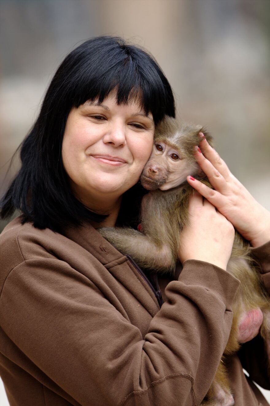 The World Melts Over Punch, The Rescued Baby Monkey From Japan. But In Macedonia, We&rsquo;ve Been Living This Story For Years.