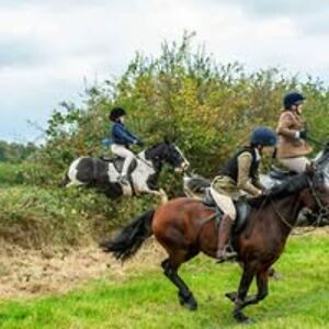 clairejhevans avatar