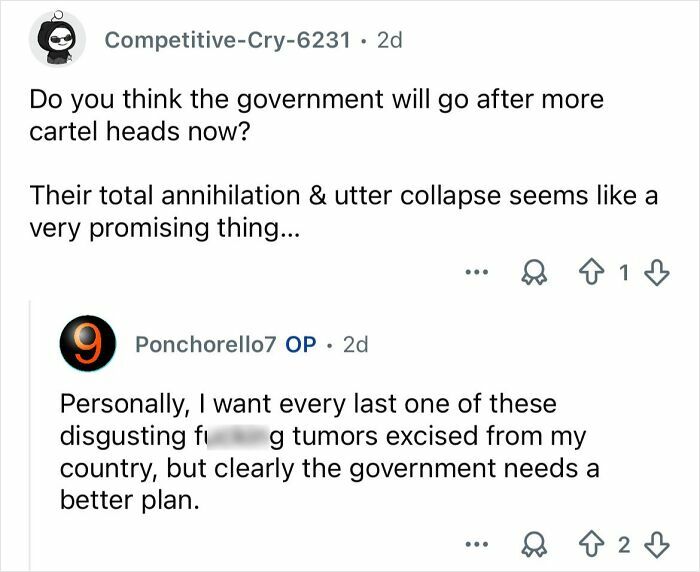 Comments discussing government action and cartel violence in Mexico in a first-person online conversation.