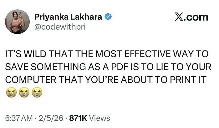 X post humor showing a funny tweet about saving files as PDF by pretending to print, part of chaotic posts.