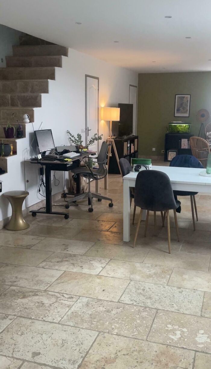 Modern living room and office space with perfectly camouflaged dog blending into stone floor tiles, showcasing camouflaged things.